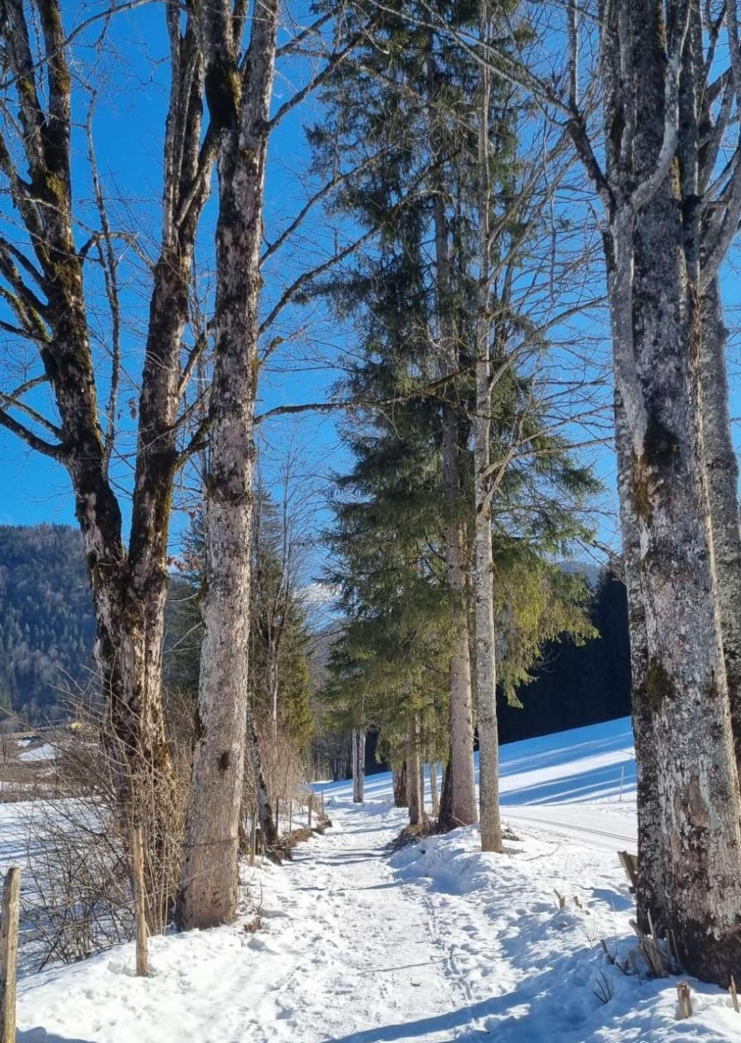 Bio Bauernhof Geisl Apartment Sankt Ulrich am Pillersee Bagian luar foto